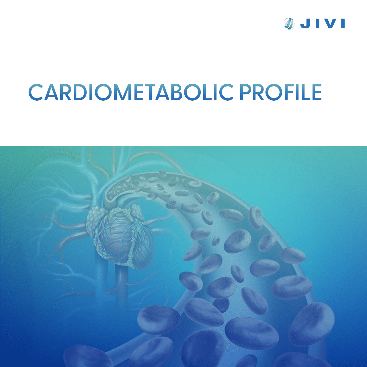 心血管代谢概况 1 心血管代谢指标