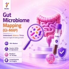 Gut microbiome 1 Gut microbiome
