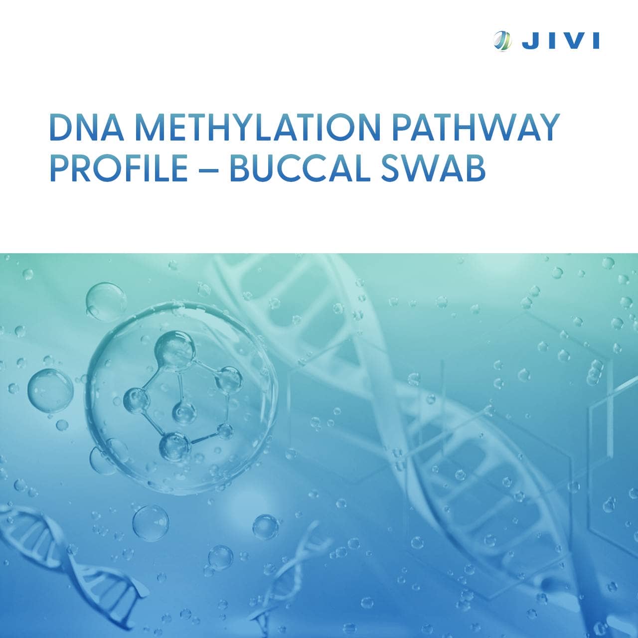 DNA Methylation Pathway Profile – Buccal Swab 1 DNA Methylation Pathway Profile – Buccal Swab