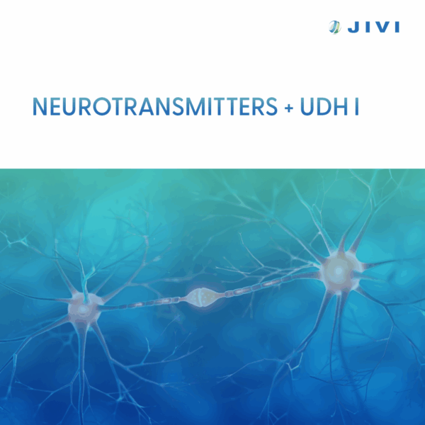 Neurotransmitters + UDH I 1 Neurotransmitters + UDH I