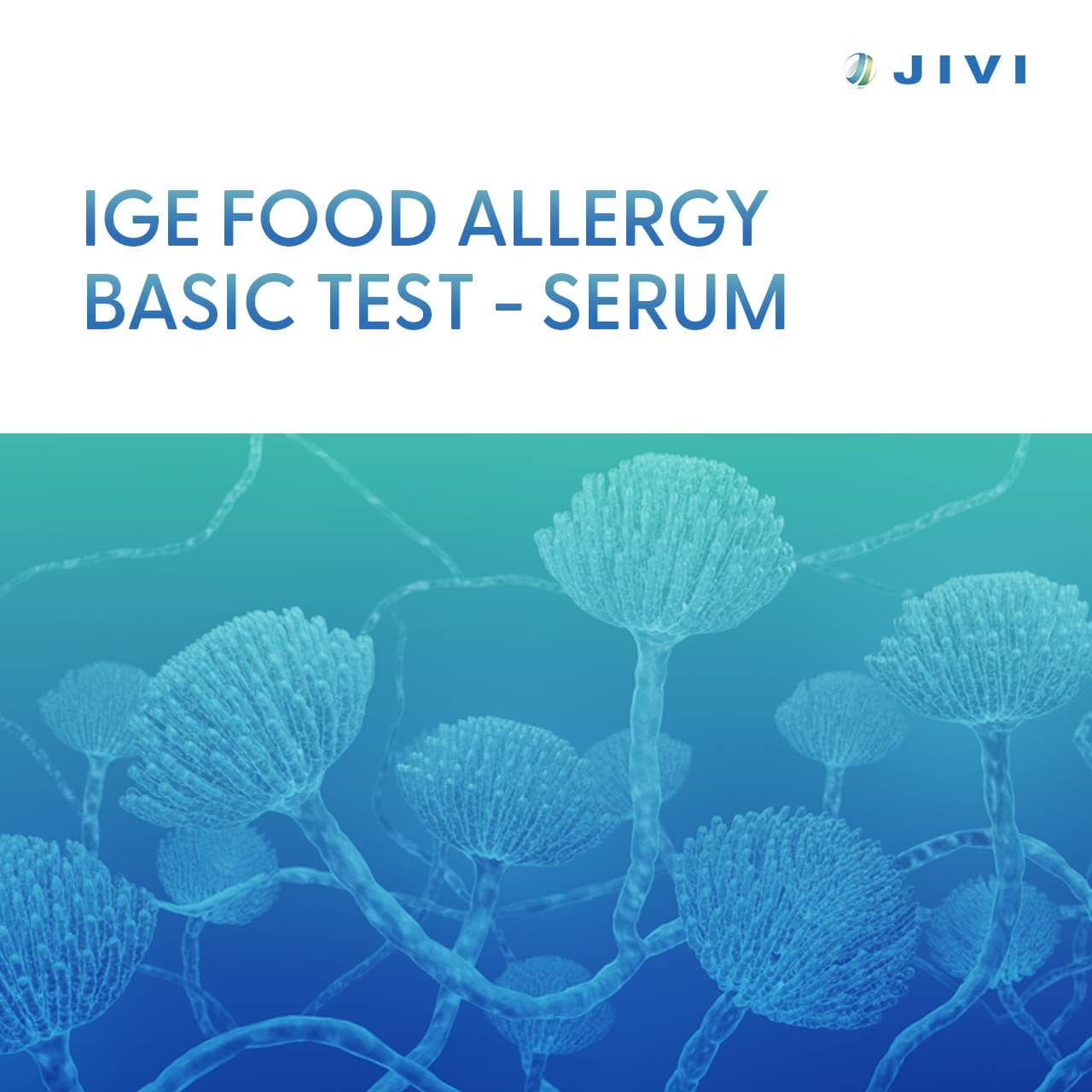 IgE Food Allergy Basic Test – Serum 1 IgE Food Allergy Basic Test – Serum